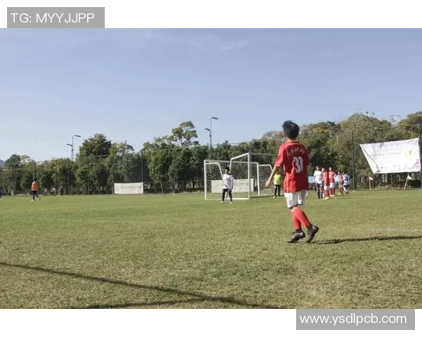 追梦绿茵:足球明星的奋斗与荣耀之路