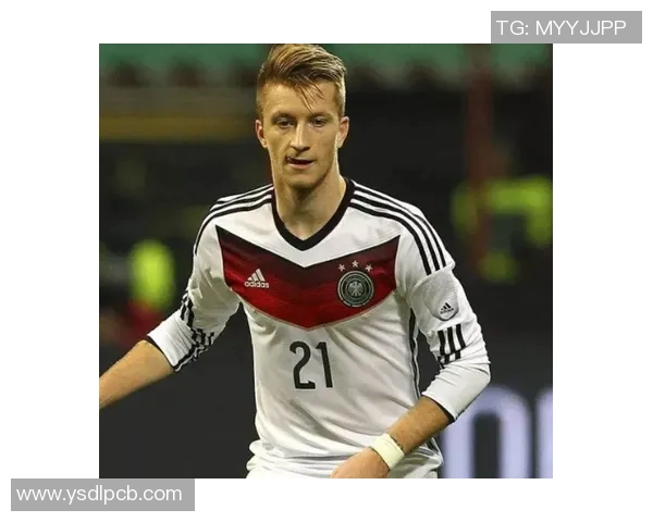 智利足球明星的辉煌历程与对世界足球的影响分析