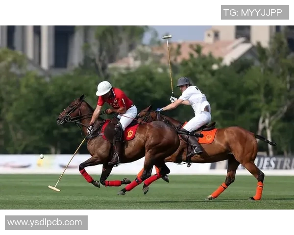 韩语足球明星名字大全及其在国际赛场上的表现分析